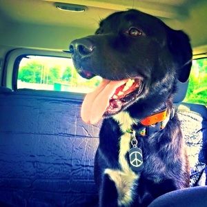 Meet your Posher, Kassandra